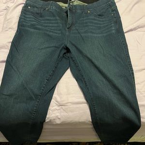 Torrid skinny jeans 22R